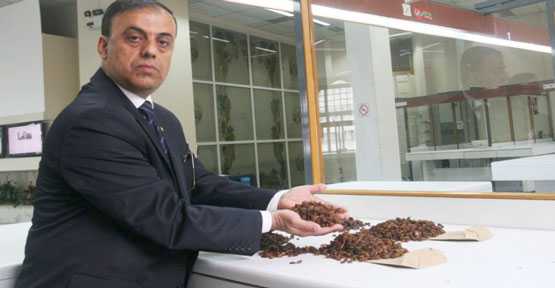 Özbey: Kayısı don zararı tazmini karşılanmalıdır