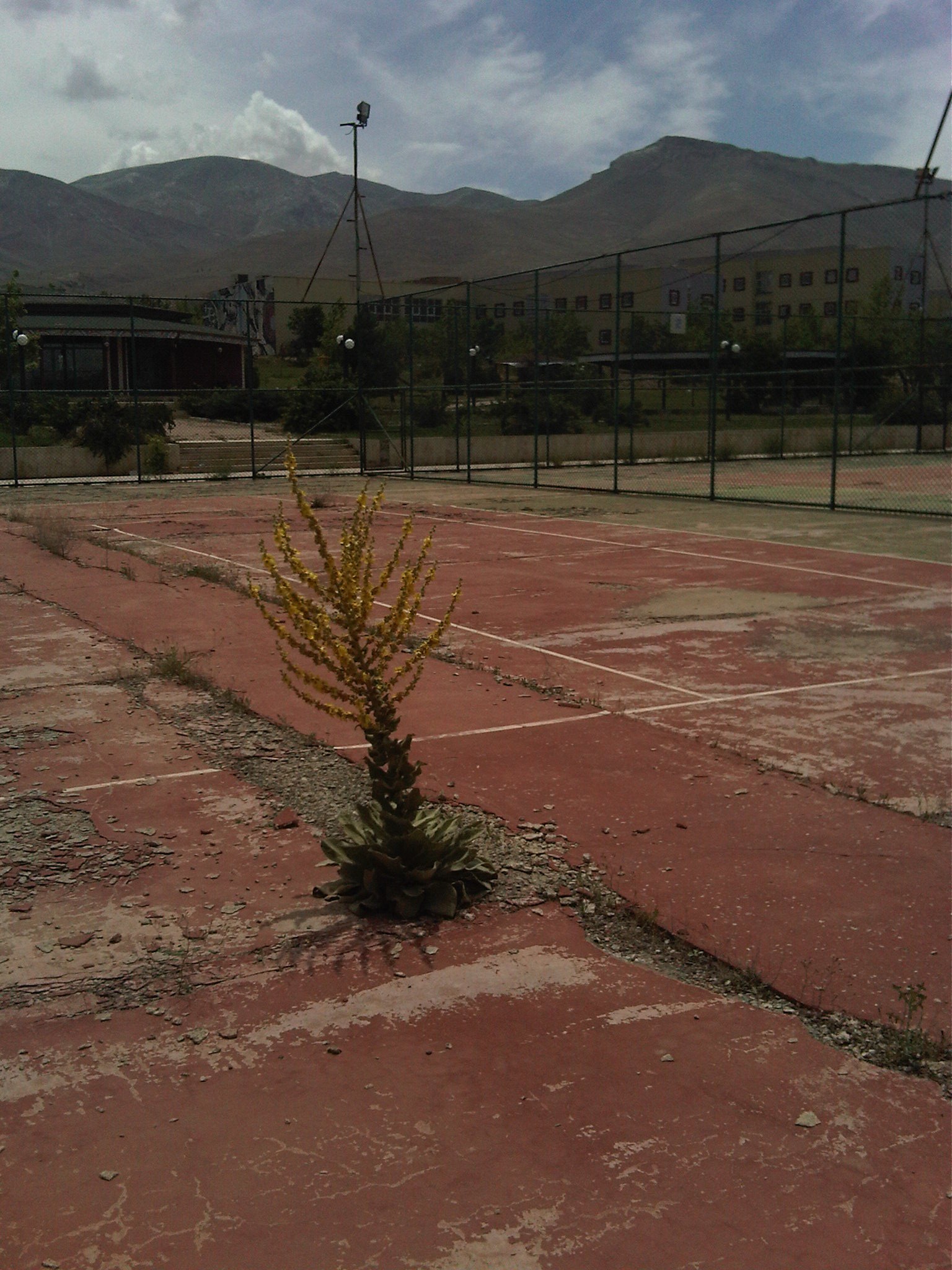 Bölgenin en büyük tenis kortları harabeye döndü