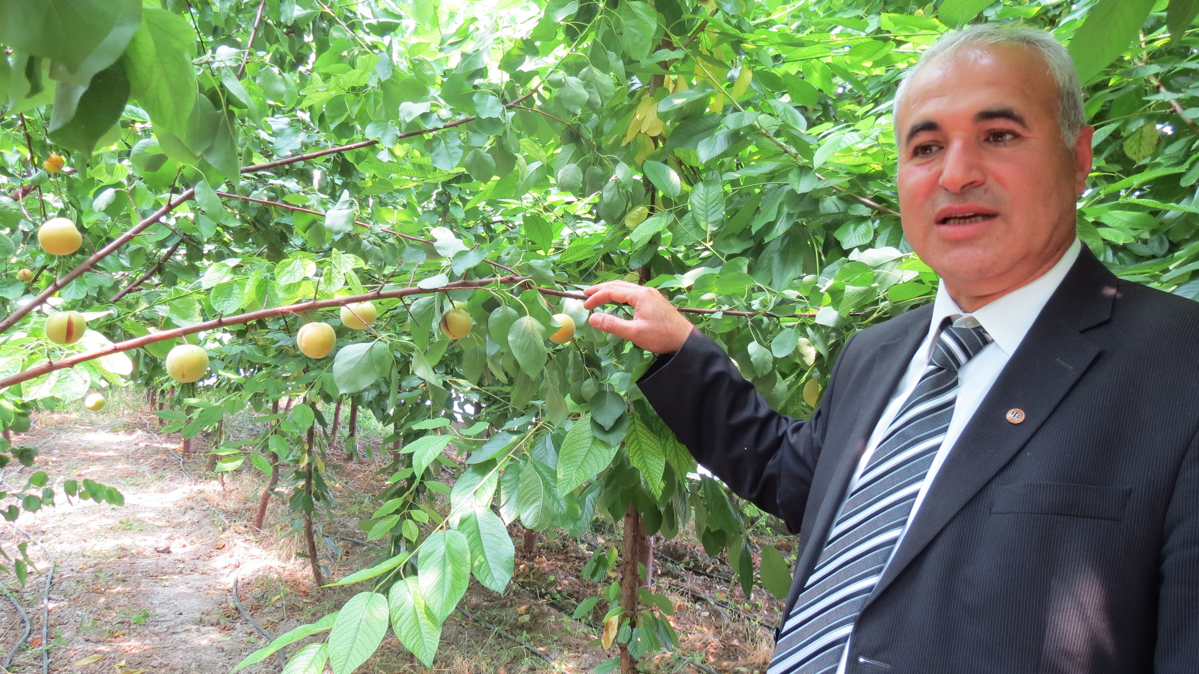 KAYISI SERASININ MALATYA’DA OLUP OLAMAYACAĞINI İNSANLARA GÖSTERMEK İSTEDİK
