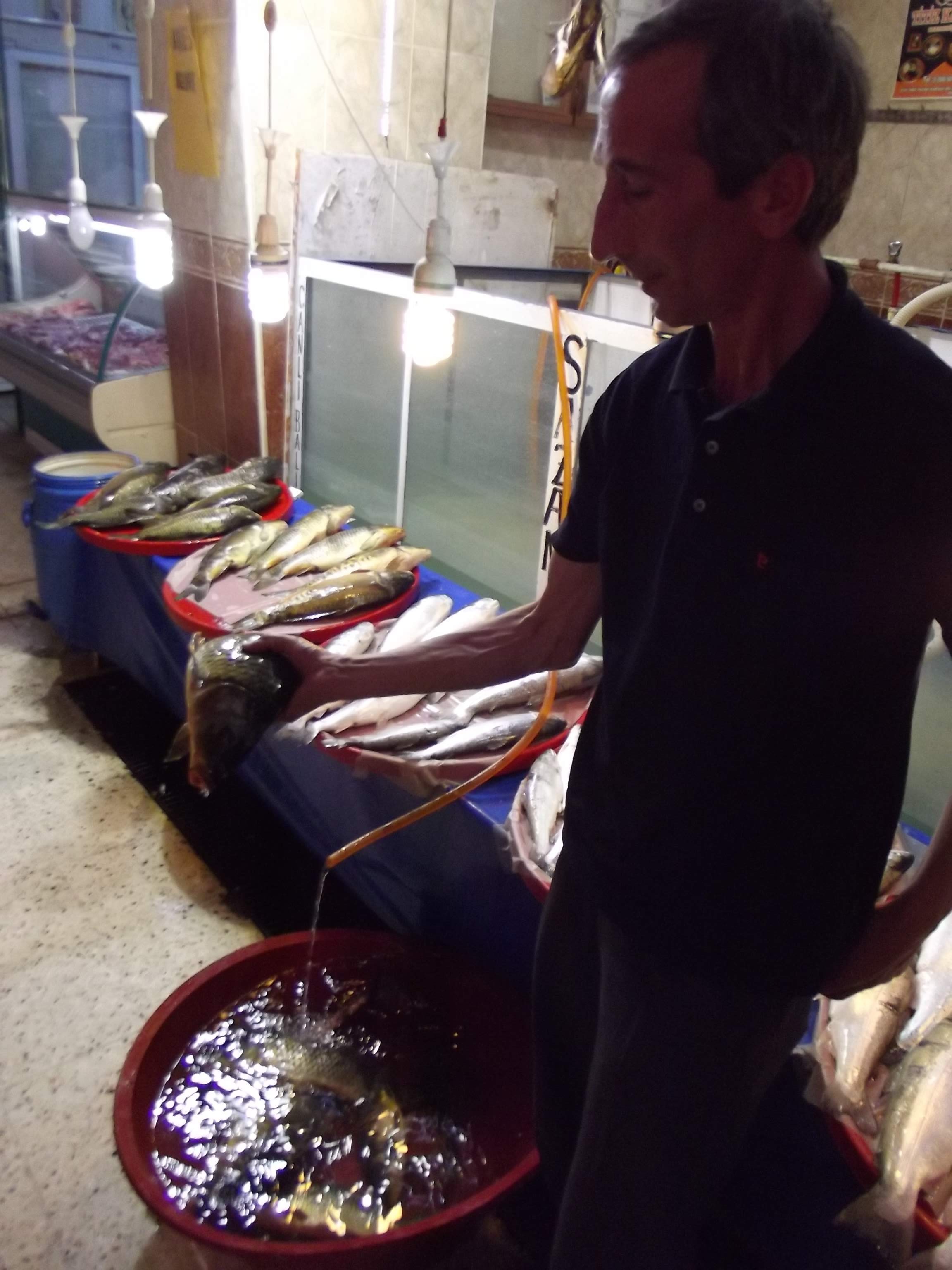 GÖL BALIKLARININ SATIŞI SERBEST AMA..