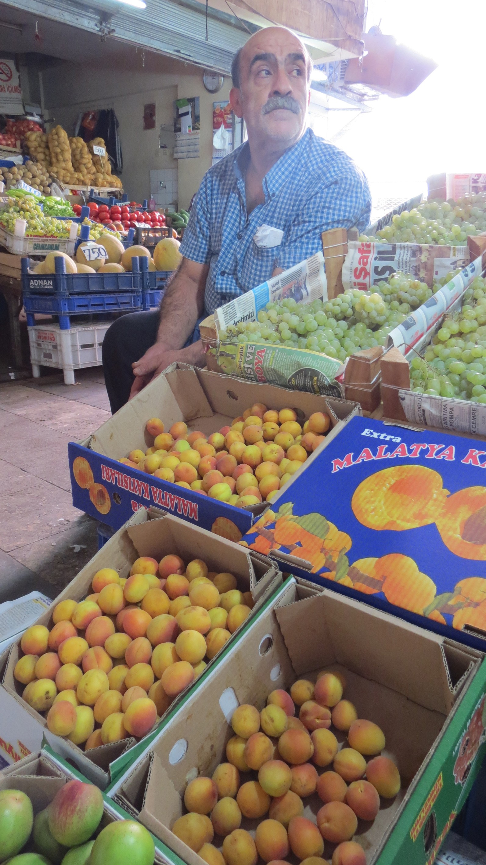 BUNLAR SEZONUN SON KAYISILARI