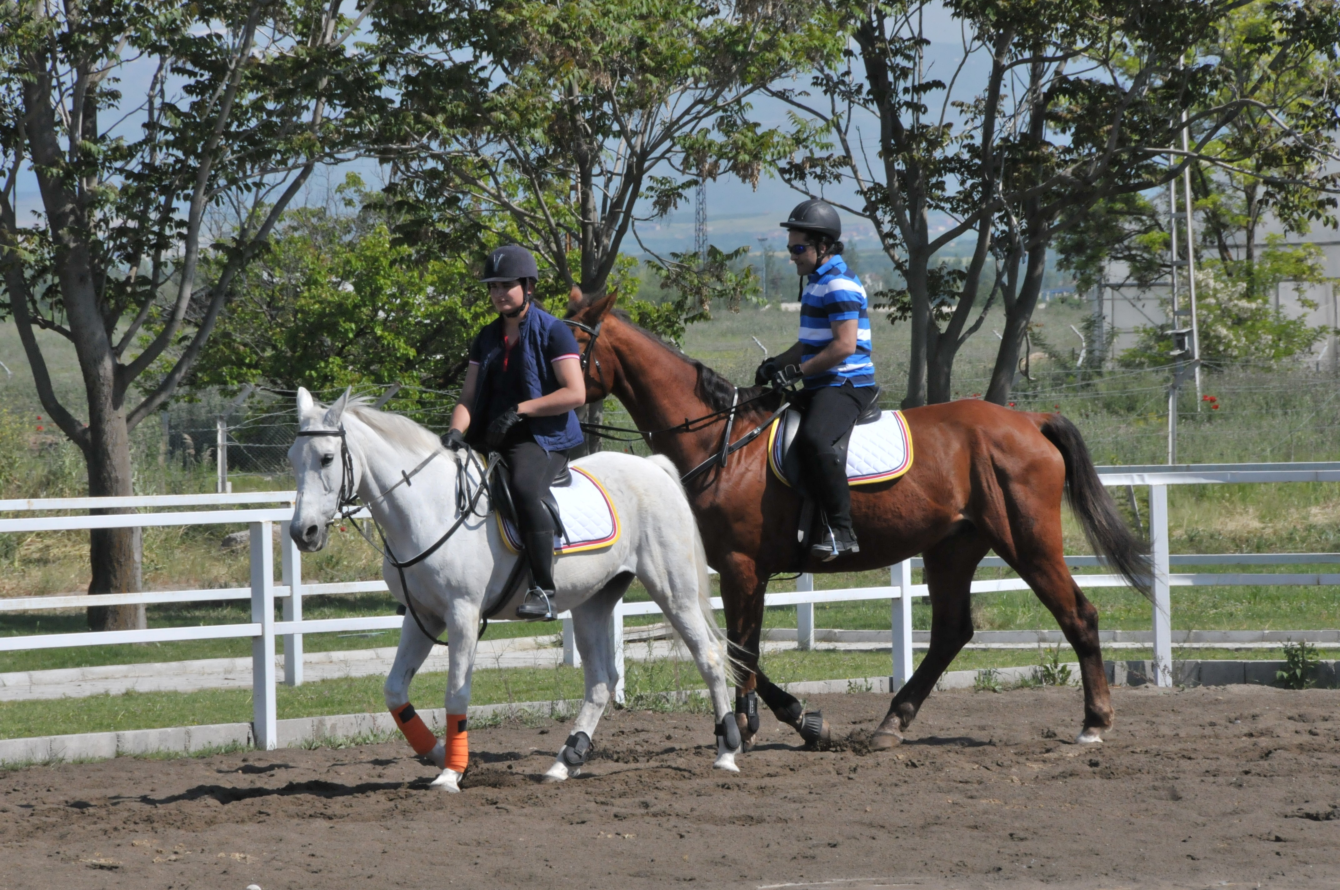 ATÇILIK, BİNİCİLİK REHABİLİTASYON TESİSİ AÇILDI