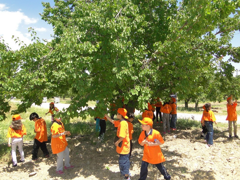 ÖĞRENCİLER, TARIM KAMPI’NDA