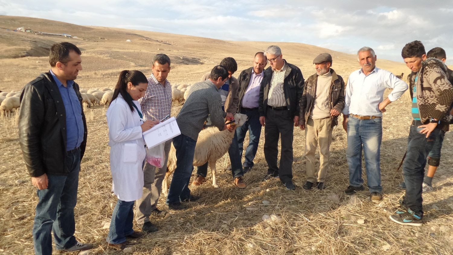 KÜPELEME ÇALIŞMALARI ARAPGİR’DEN BAŞLADI