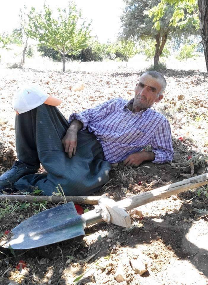 CEVİZ AĞACINDAN DÜŞEN ŞAHIS HAYATINI KAYBETTİ