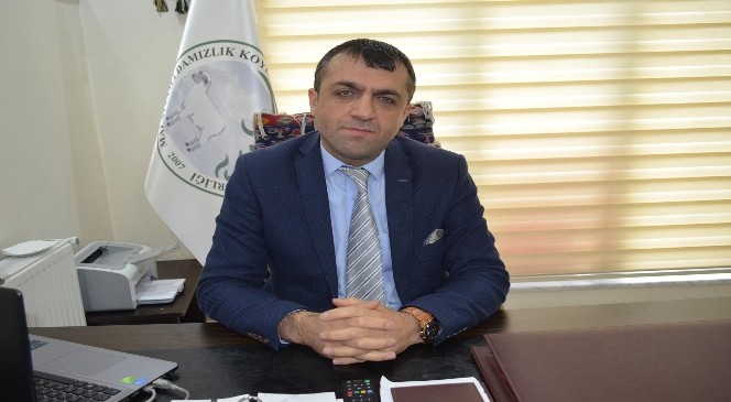 KUZU YARIŞMASI DÜZENLENECEK