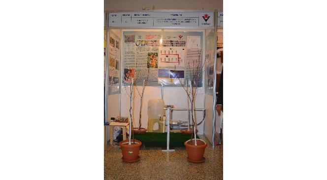 KAYISIYI KURTARMA PROJESİ İLGİ GÖRDÜ